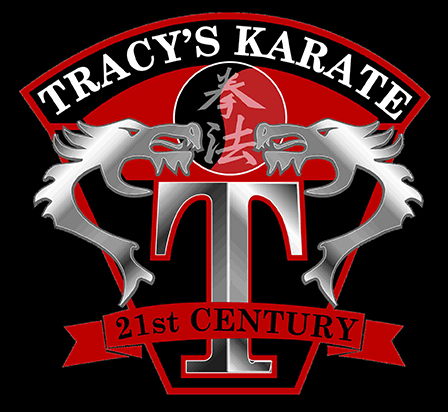 Chicago Tracy Karate